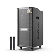 Loa Karaoke W-King K20Pro (Bass đôi 8x2, 2 Micro, 360W, Pin 12000mAh)