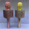 Micro kèm Loa Bluetooth H1