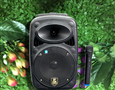 Loa kéo AVcrown CH-M08. (Bass 20, bluetooth, 1 mic, 50W)