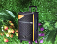 Loa kéo SL1-12 (1 mic, 300W ,12 inch) = sl-302A