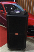 Loa Kéo Danmas DJ-8805 ( 15 inch , 1000W, 2 mic) bass 40