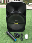 Loa kéo Wili WP-42 ( 12 inch , 1 mic , 1800W) bass 30