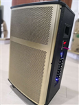 Loa kéo PK-12 ( 12 inch , 2 mic , 300W) bass 30 vỏ gỗ