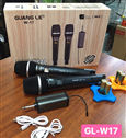 Micro không dây đa năng GuangLe W-17 (2 Mic)