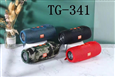 LOA BLUETOOTH T&G TG-341