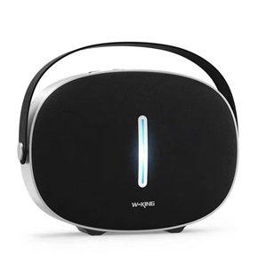 LOA BLUETOOTH W-KING T8II (40W)